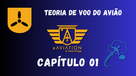Capitulo 1 TEORIA DE VOO DO AVIÃO